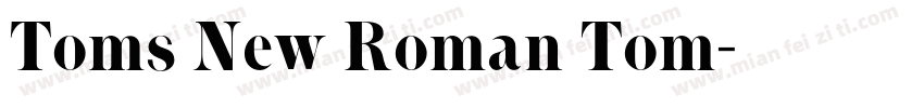 Toms New Roman Tom字体转换